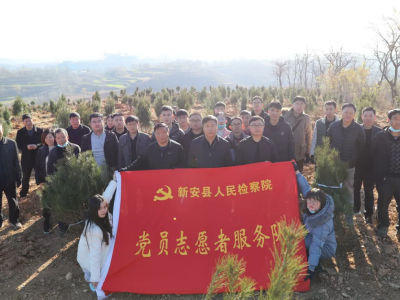 新安县人民检察院开展冬季义务植树活动